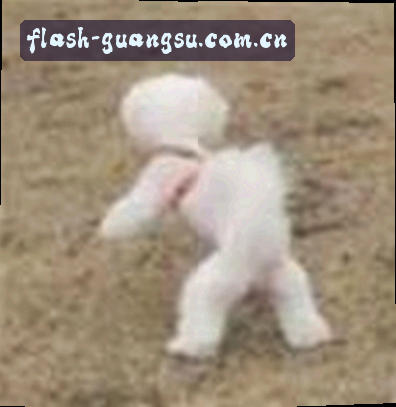 王磊